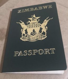 tourist visa for dubai from zimbabwe